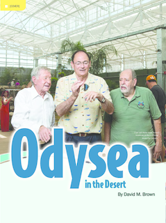 OdySea in the Desert